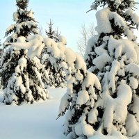 Зимний этюд :: Михаил Белоусов