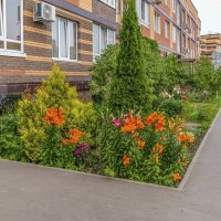 Красивый палисадник на улице Потаповская роща :: Валерий Иванович Красивый палисадник на улице Потаповская роща :: Валерий Иванович