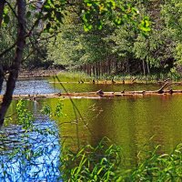 Июнь...Протока Сырой Аган.Паводок! :: Владимир 