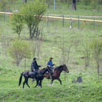 Джигиты :: Gen Джигиты :: Gen