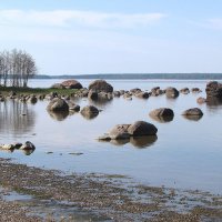 Пейзаж :: Александр Ильчевский 