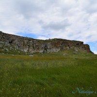 Природа Крыма :: Amazing Cosmea Природа Крыма :: Amazing Cosmea