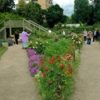 На выставке роз и декоративных кустарников. :: Татьяна Помогалова На выставке роз и декоративных кустарников. :: Татьяна Помогалова