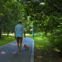 Утро в Летнем Парке :: юрий поляков