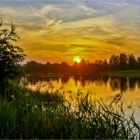 *** :: Алексей Мезенцев