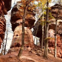 Пфальц, Германия :: А  И М