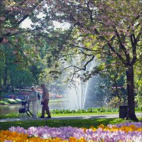 До свидания, Кекенхоф! :: Валерий Готлиб