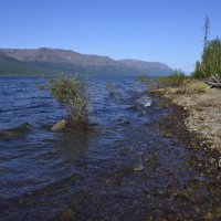 *** :: Александр Хаецкий