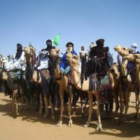 Верблюжья кавалерия! :: unix (Илья Утропов)