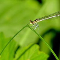 из снятого сегодня 6 :: Александр Прокудин