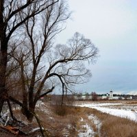 Николо-Пешношский мужской монастырь (1361) :: Oleg4618 Шутченко