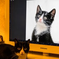 Десять лет спустя ... :: Игорь Викторов