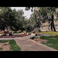 Цветы. :: Владимир Драгунский Цветы. :: Владимир Драгунский