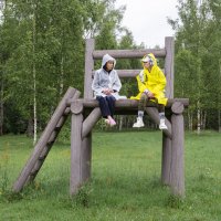 Не садись на пенёк... :: Валерий Пославский