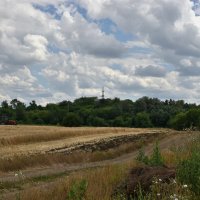 Дорога вдоль поля :: Александр 