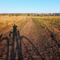 С Днём Фотографа!  :) :: Елена Хайдукова  ( Elena Fly )