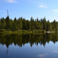 Тишина :: Ольга Тишина :: Ольга