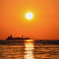 Всё под солнцем :: Alexandеr P