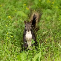4 :: Сергей Флетчер