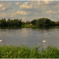 Лето :: Aleksandr Gal