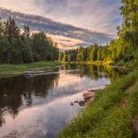 **** :: Елизавета .