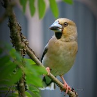 С ДНЁМ ФОТОГРАФА друзья ! :: Andrey Bragin С ДНЁМ ФОТОГРАФА друзья ! :: Andrey Bragin