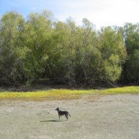 Осень :: Anna Ivanova Осень :: Anna Ivanova