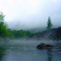 Туманное лето :: Владимир Куликов