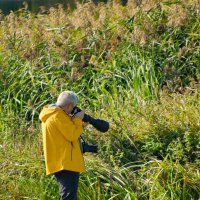 Поймать фотографа. :: Sergey (Apg)