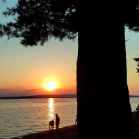 На берегу :: светлана льдокова