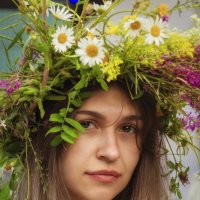 Ромашковое волшебство :: Николай Мокшин