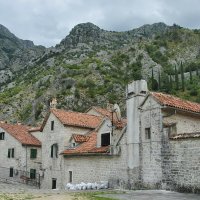 *** :: Марина Виноградова