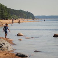 На берегу Финского залива :: Магомед .