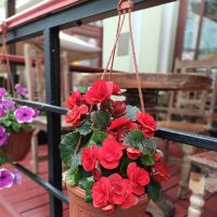 лето в городе :: Галина R...