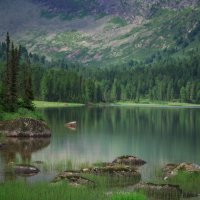 * :: Александр Иванов