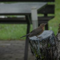 * :: Nikolai 888 * :: Nikolai 888