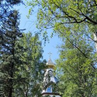 Жара.Июль. :: Ольга 