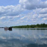 Дон. :: Виктор 