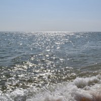 Природа Крыма :: Amazing Cosmea