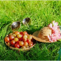 ЛЕТО... :: Elvira E. 