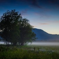 Вечернее. :: Alexander Fedotov