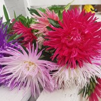 *** :: Геннадий. Э.