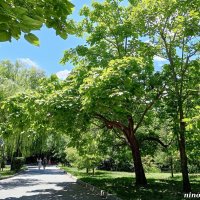 В ростовском зоопарке :: Нина Бутко