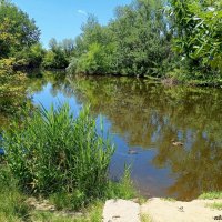 В ростовском зоопарке :: Нина Бутко