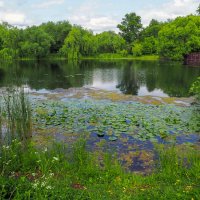 ***** :: юрий поляков ***** :: юрий поляков