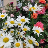 ,,, :: Сергей Тимоновский