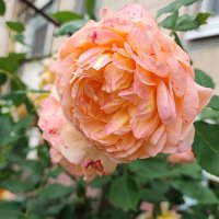 ,,, :: Сергей Тимоновский ,,, :: Сергей Тимоновский