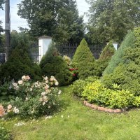 На территории Георгиевской церкви...Старая Русса :: Наталия Павлова