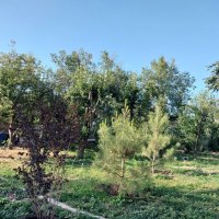 Talgar. :: Murat Bukaev Talgar. :: Murat Bukaev