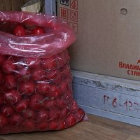 . :: Александр Хоменко